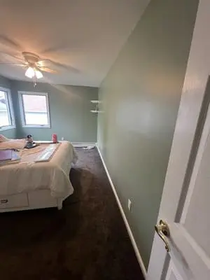 Minimalist bedroom with carpeted floor and shelves